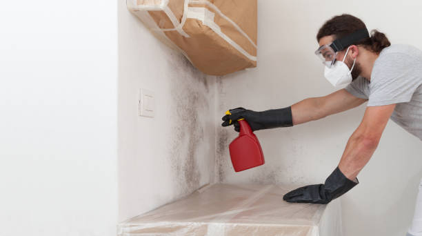 Professional Crawl Space Mold Remediation technician working in Saxton, PA