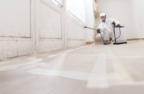 24/7 Emergency Crawl Space Mold Remediation experts in Saxton, PA