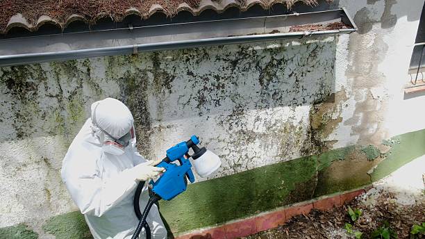 Top rated local Crawl Space Mold Remediation specialists in Saxton, PA